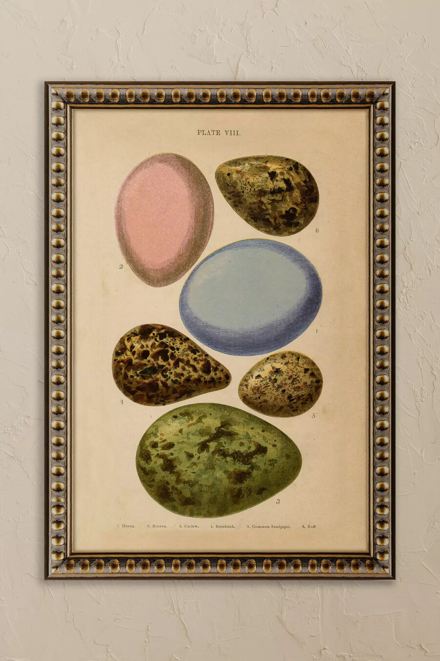 huevos de wyatt landesmann arte de pared enmarcado