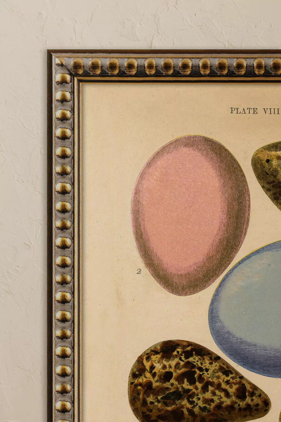 huevos de wyatt landesmann arte de pared enmarcado
