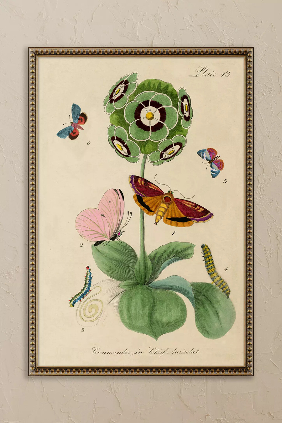 arte de pared enmarcado flor de wyatt landesmann